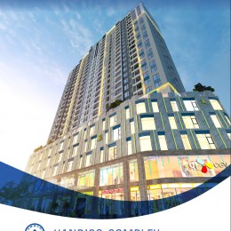 Chung Cư Handico Complex