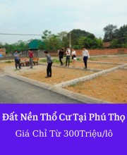 Trần