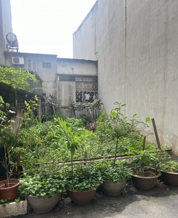 Quang