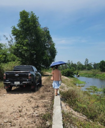 trần