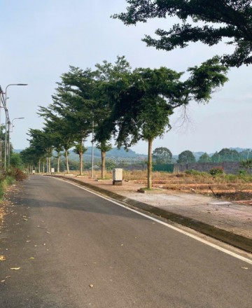 TRẦN