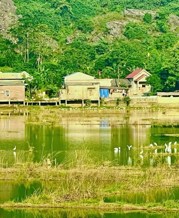 Phạm