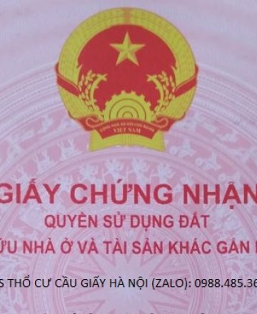 Trần