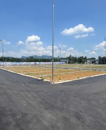 Nguyễn