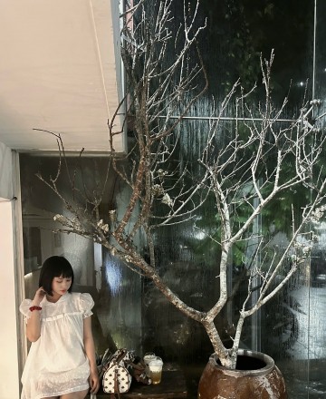 Nguyễn