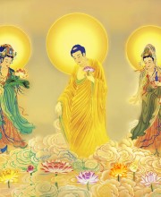 Cho thuê nhà đất Phường 4