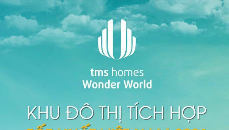 đất nền dự án TMS HOMES WONDER WORLD đầm cói hội hợp....