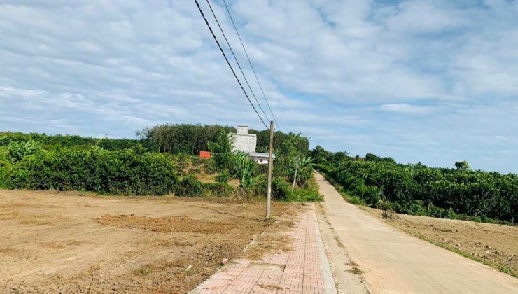 Đất Nền Phú Mỹ mặt tiền đường rộng 30m SHR đón tiềm năng