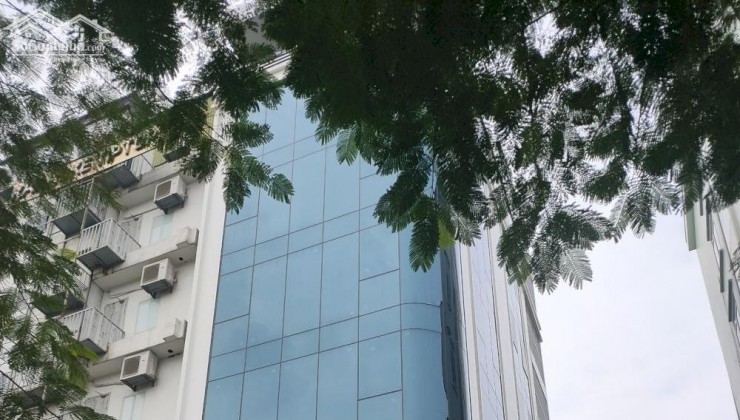 Bán Tòa nhà văn phòng Lô góc Mặt phố Nguyễn Khang 8 tầng mặt tiền 7.1M 110M2  60 Tỷ