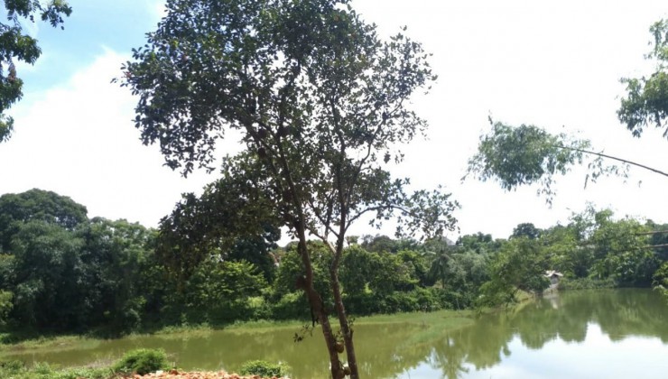 Bán đất Lương Sơn - Hoà Bình: 1.3ha, 400tc- Suối bao quanh - Trọn quả đồi mâm xôi -  Giá 6tyi