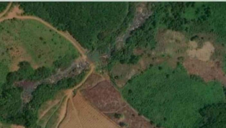 BÊN EM BÁN 30ha đất rừng sản xuất tại Tân Lạc, Hoà Bình
