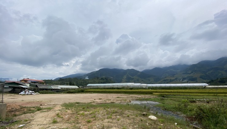 Đón sóng quy hoạch khu du lịch quốc gia Tả Phìn, Sa Pa cần bán mảnh đất trung tâm giá đẹp