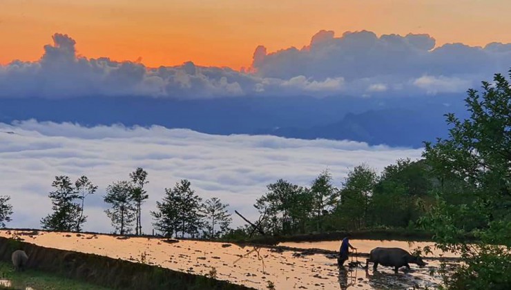 Bán đất KDL Tả Phìn Sa Pa đón sóng quy hoạch lớn nhất tiềm năng vô cùng lớn