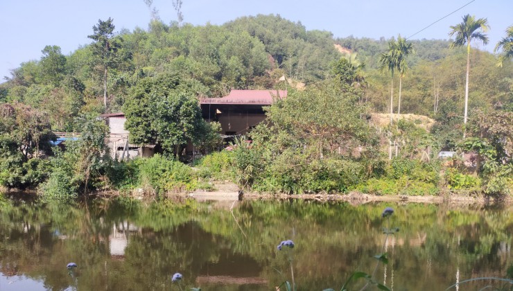 Cần bán 2784m2 đất ở 1349m xóm chu xã Trung Minh, Huyện Kỳ Sơn ,Tỉnh Hòa Bình