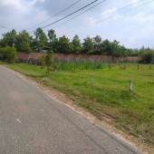 Bán đất nhà vườn sát bên KCN Bàu Trăn, cách nông trại VinEco 1.5km