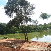 Bán đất Lương Sơn - Hoà Bình: 1.3ha, 400tc- Suối bao quanh - Trọn quả đồi mâm xôi -  Giá 6tyi