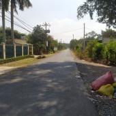 Bán gấp lô đất trước Tết ở đường Nguyễn Thị Rành Củ Chi