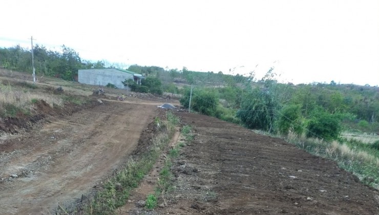 Cần bán lô đất 7400m2 tại quốc lộ 14, xã Đăk Rla, Đăk Mil, Đăk Nông
