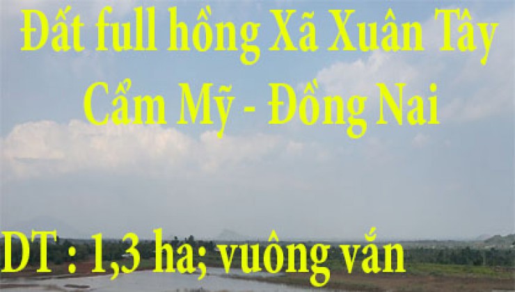 Đất full hồng Xã Xuân Tây - Cẩm Mỹ - Đồng Nai