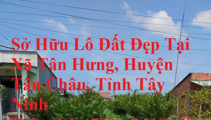 Sở Hữu Lô Đất Đẹp Tại Xã Tân Hưng, Huyện Tân Châu, Tỉnh Tây Ninh