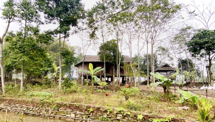 Bán đất Tân Lạc sẵn nhà sàn, suối bám quanh nhà, view cánh đồng trọn vẹn, gần đường quốc lộ giá rẻ.