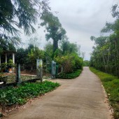 Cần bán gấp vườn bưởi 22.273m2, thổ cư 300m2 đang cho thu hoạch tại Ấp 5, xã Tà Lài, Huyện Tân Phú, Tỉnh Đồng Nai