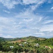 Bỏ phố lên rừng mua lô đất Nam Hà Lâm Đồng tận hưởng khí hậu trong lành