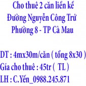 Cho thuê 2 căn liền kề Đường Nguyễn Công Trứ, Phường 8, TP Cà Mau, Tỉnh Cà Mau