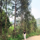 Bán đất Sapa đường Nguyễn Chí Thanh diện tích hơn 800m2