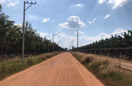 Đất cách QL14 1km - Chơn Thành, Bình Phước NGAY CHỢ MINH LẬP