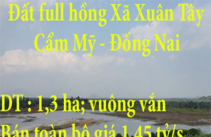 Đất full hồng Xã Xuân Tây - Cẩm Mỹ - Đồng Nai