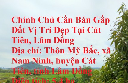 Chính Chủ Cần Bán Gấp Đất Vị Trí Đẹp Tại Cát Tiên, Lâm Đồng