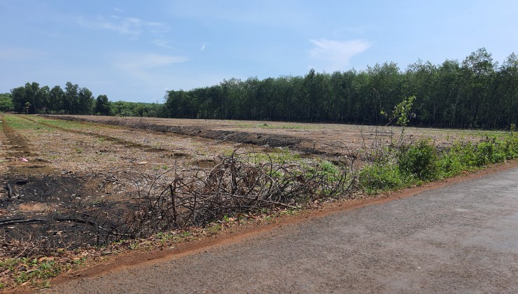 cần bán đất tại khu vực huyện Đồng Phú sát khu công nghiệp becamex 6300