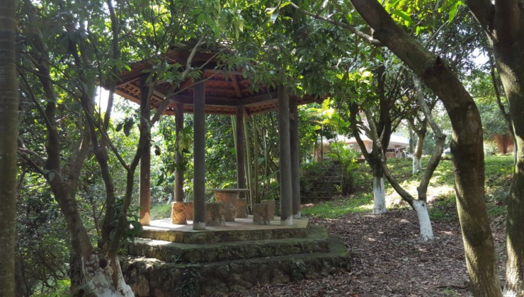 Bán 4200m2 khuôn viên nhà vườn nghỉ dưỡng có 1 0 2 tại Cư Yên Lương Sơn
