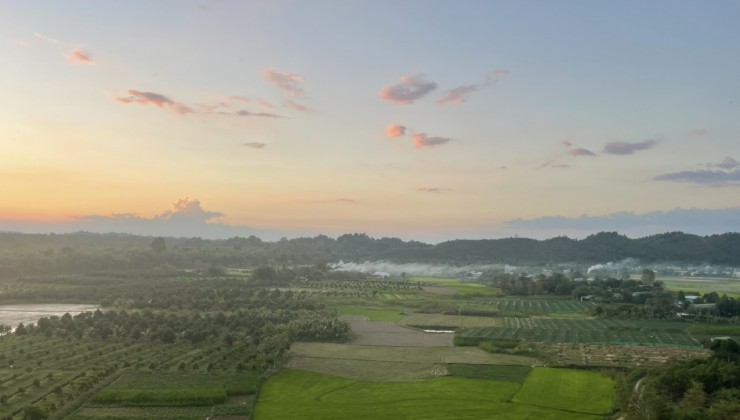 Đất Giá Rẻ Đạ Tẻh - Huyện Đạ Tẻh - Tỉnh Lâm Đồng 10.000m2