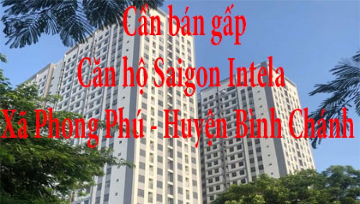 Cần bán gấp căn hộ Saigon Intela Bình Chánh