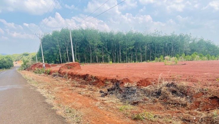 Chính chủ bán 10 lô đất mặt tiền đường DT 753 ở xã Tân Lợi, huyện Đồng phú, tỉnh Bình Phước