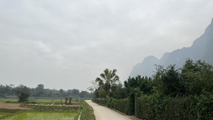 Siêu Phẩm 3 Mặt Tiền Bám Đường Bê Tông 3300m 1850m ONT Tại Lạc Thủy.