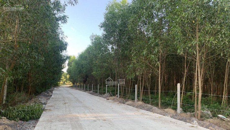 Bán đất Diên Lâm Diên Khánh 2,5 ha phù hợp làm trang trại