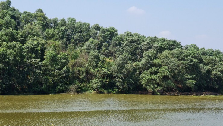 Chỉ 900 nghìn/m2 bám Hồ tự nhiên siêu đẹp hơn 10ha đất nông trường tại Đô Thị Vệ Tinh Hòa Lạc