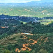 Bán nhanh 3 lô đất Lộc Thành 1,1 tỷ trên 1000m2 SĐ view núi Đại Bình
