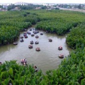 Cần bán 1200m2 đất rừng dừa Cẩm Thanh, thành phố Hội An