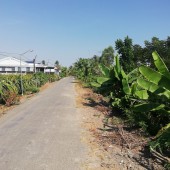 bán Đất mặt tiền kênh đường Bình cách  ấp Song Thạnh xã Tân Bình Thạnh huyện chợ gạo tỉnh tiền giang