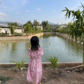 Cần bán đất có nhà ở chính chủ tại: Thị trấn Nam Ban, Huyện Lâm Hà, Lâm Đồng