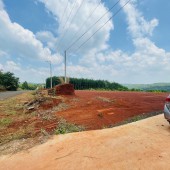Chính chủ bán 10 lô đất mặt tiền đường DT 753 ở xã Tân Lợi, huyện Đồng phú, tỉnh Bình Phước