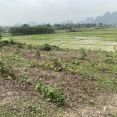 Chủ gửi bán 2000m 200m thổ cư tại Trung Sơn - Lương Sơn - Hoà Bình