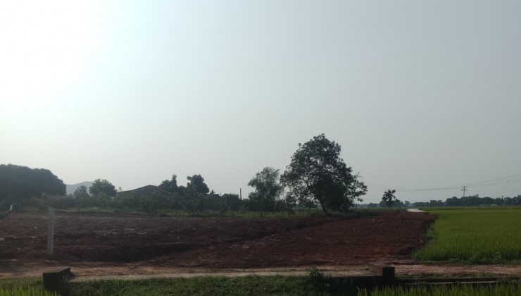 Chính chủ bán nhanh lô đất 4950m2 tại Xã Nam Hương, Thạch Hà, Hà Tĩnh, Giá tốt