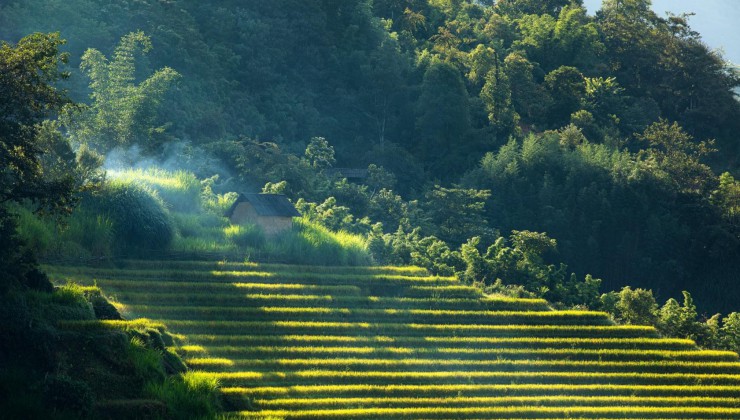 Đất nền y tý (sapa2) siêu phẩm săn mây tại ngải thầu diện tích 3689m2