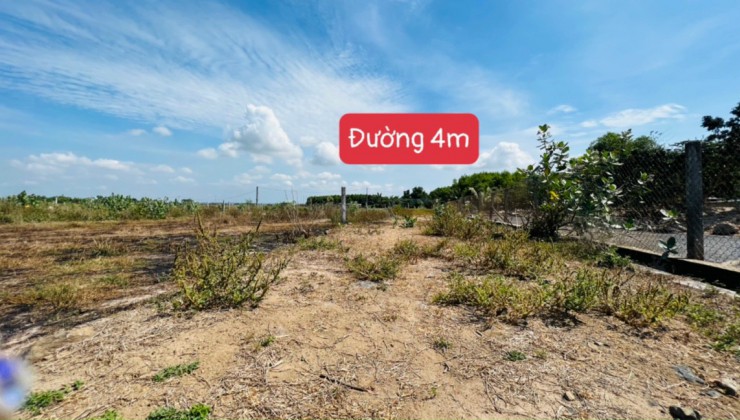 Trai Đẹp Bán Đất Nền - Đất tốt giá lợi nhuận  - Long Hải