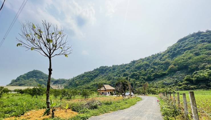 Hơn 3 tỷ sở hữu ngay 2300m2 mặt tiền 50m có khuôn viên sẵn tại Thu Phong Cao Phong Hòa Bình
